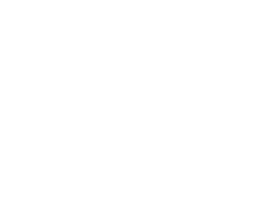 Audi-BR-Logo