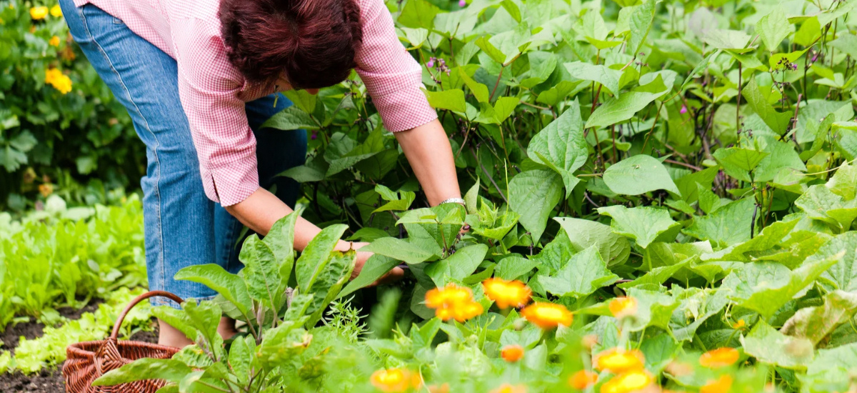 Sponsored-Blog-Photo-2