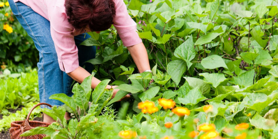 Sponsored-Blog-Photo-2